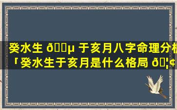 癸水生 🐵 于亥月八字命理分析「癸水生于亥月是什么格局 🦢 」